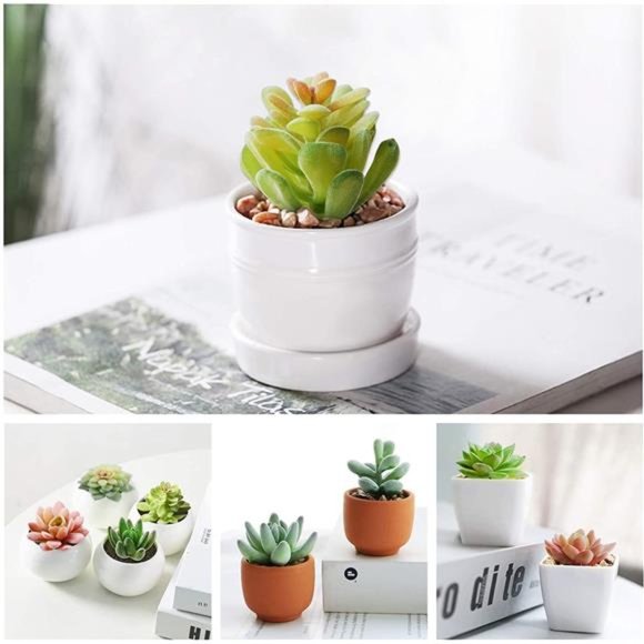 12 Pcs Artificial Succulents Mini Fake Plants Unpotted Faux Succulent for Craft - Picture 5 of 7